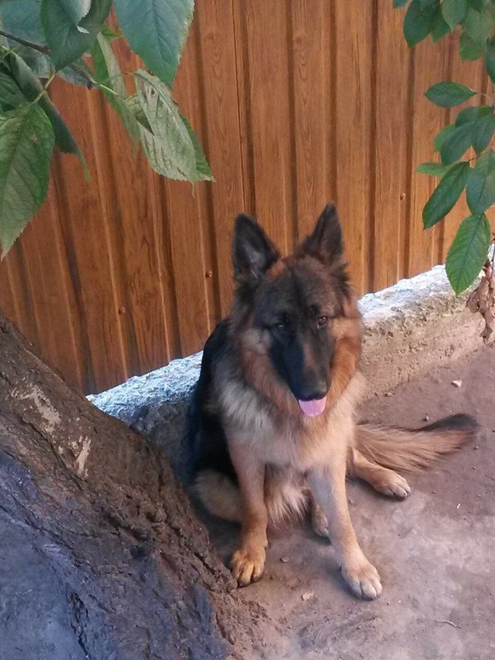 Меня не бросили, я потерялся Меня не бросили, я потерялся