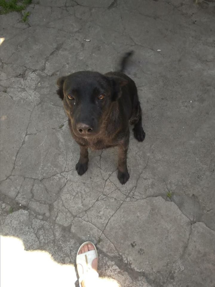 Малыш хочет домой Малыш хочет домой