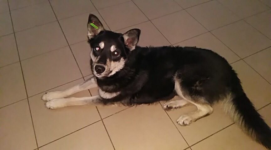 Мам, я домой хочу Мам, я домой хочу