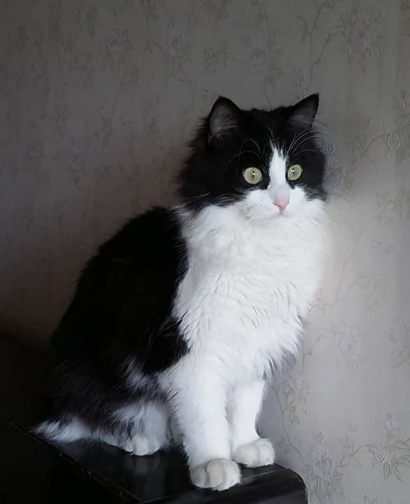 Хочу домой Хочу домой