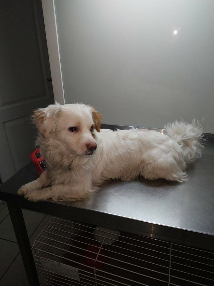 Мам, я тут Мам, я тут