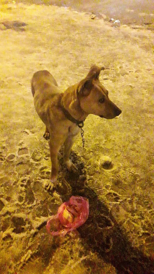 Скучаю... Скучаю...