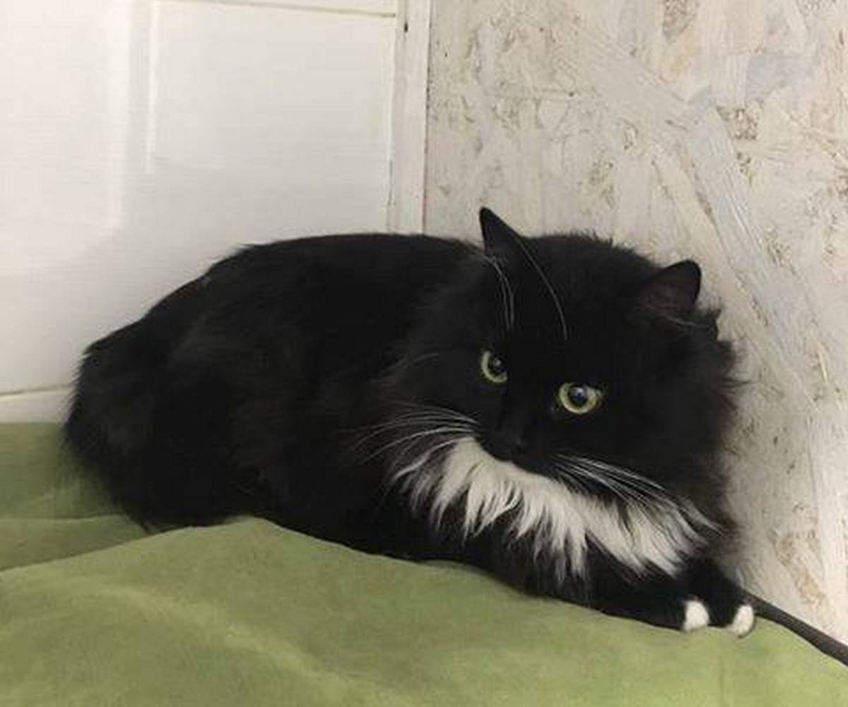 Это тво-о-я ночь! Это тво-о-я ночь!