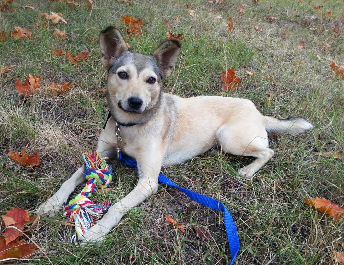 Вот как в нее не влюбиться? Вот как в нее не влюбиться?