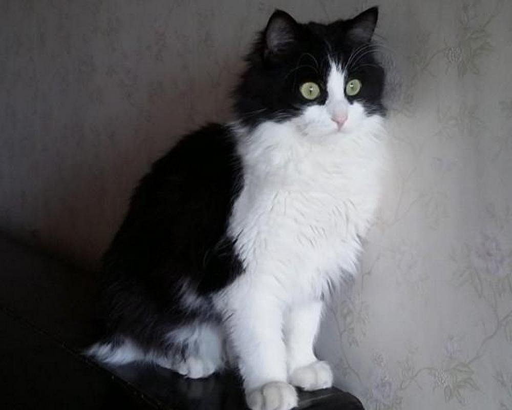 Полная безысходность и сопротивление происходящему :D Полная безысходность и сопротивление происходящему :D