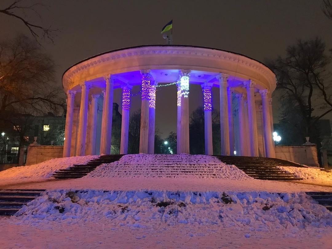 Видимо, осталось несколько гирлянд и нужно было срочно их куда-то повесить. Фото: alexnatureuk