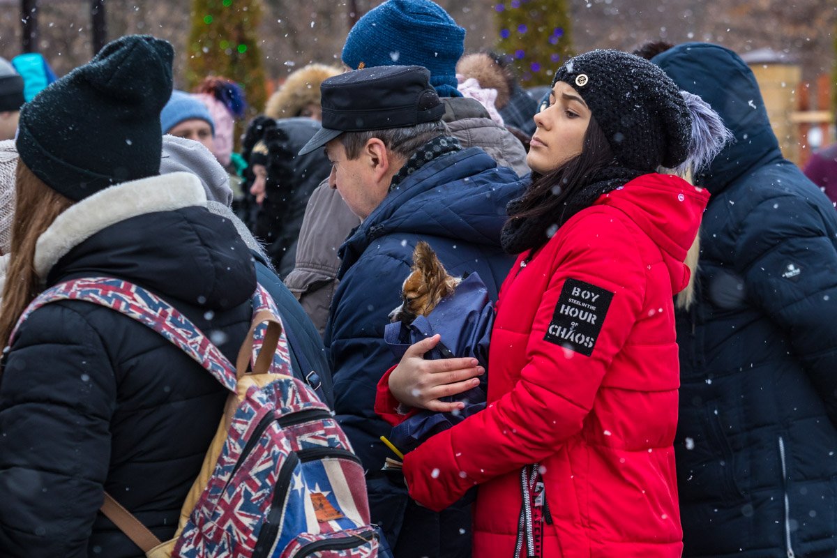 И любимцами И любимцами