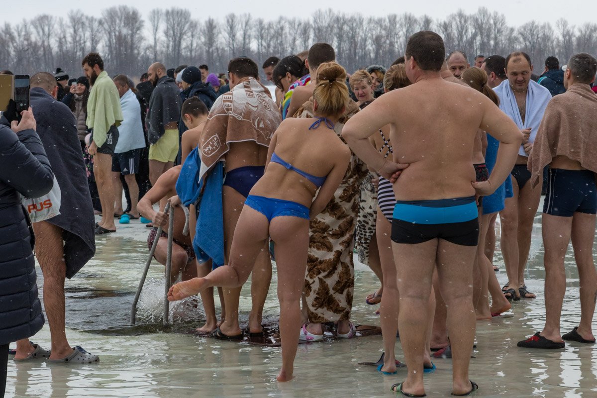 Освежившиеся моржи охотно позировали для памятных фото и обсуждали свои впечатления