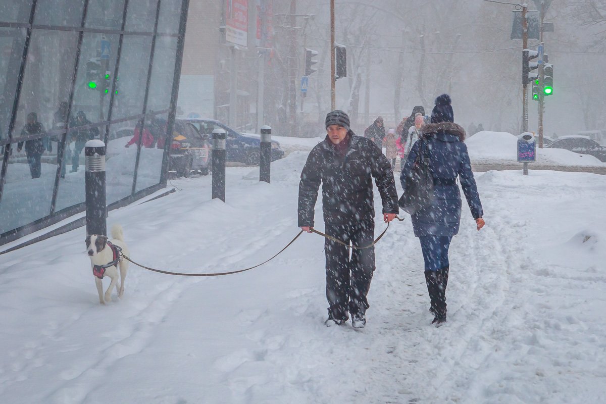 Выходите гулять