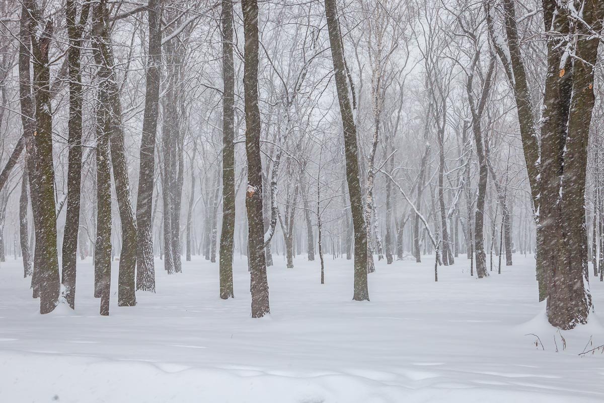 Снежная сказка