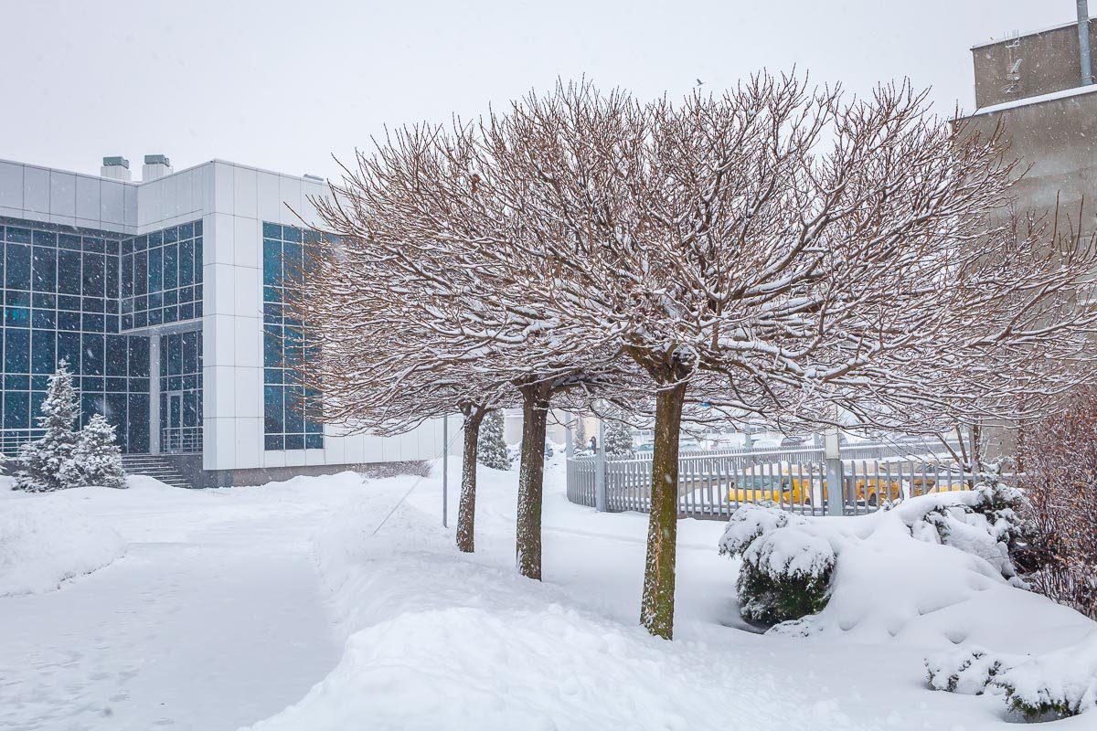 Любите Днепр