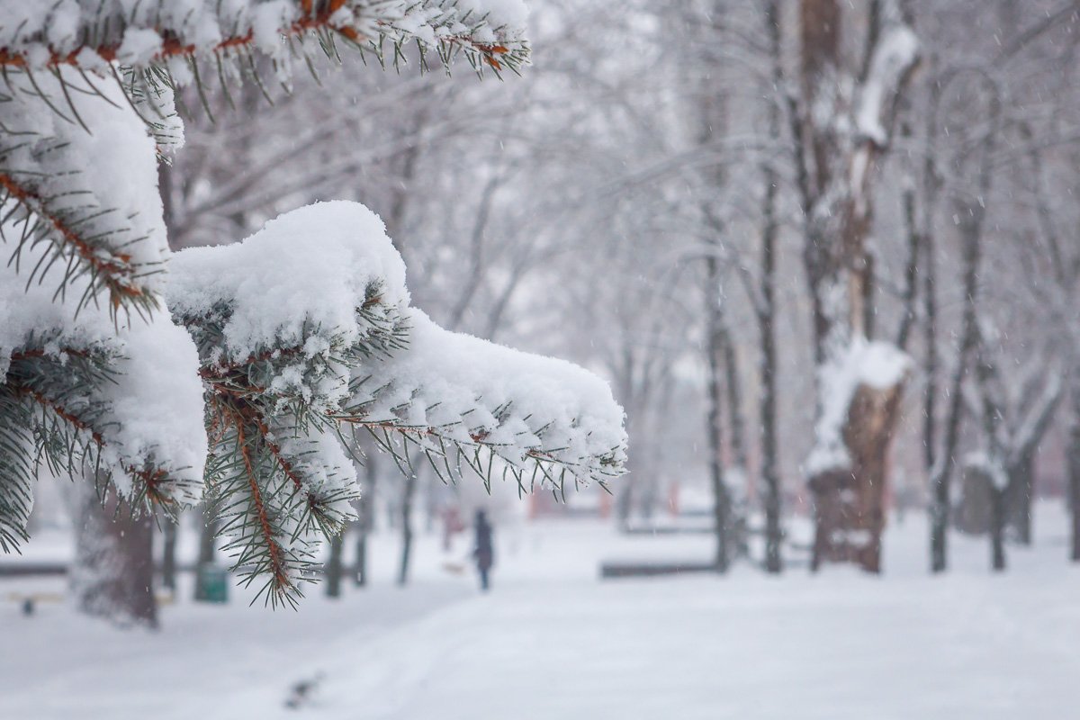 Зима все никак не закончится