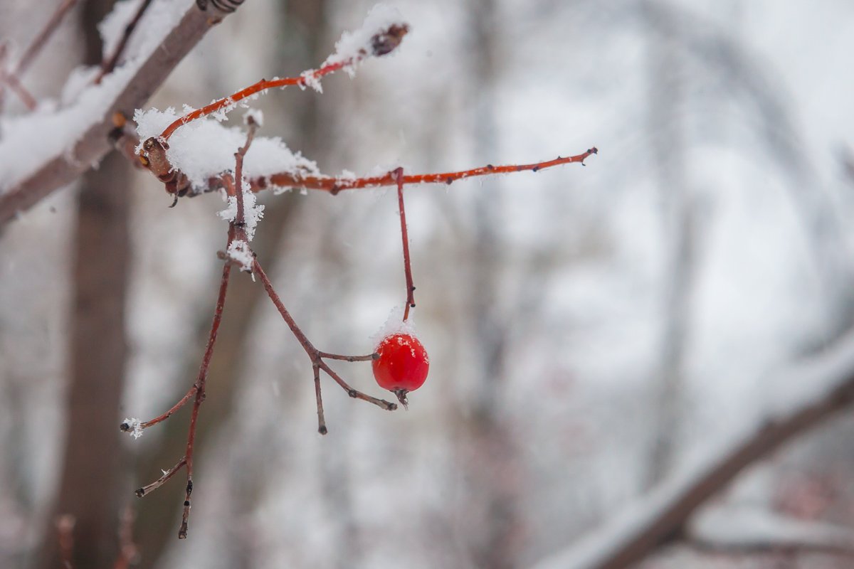 Одевайтесь теплее