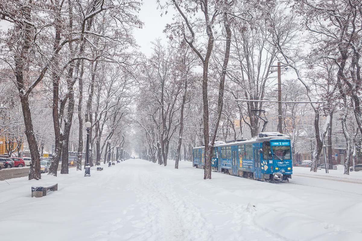 Вперед в сказку