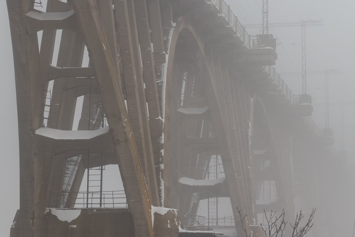 Даже если в тумане кто-то есть, то он наверняка добрый Даже если в тумане кто-то есть, то он наверняка добрый