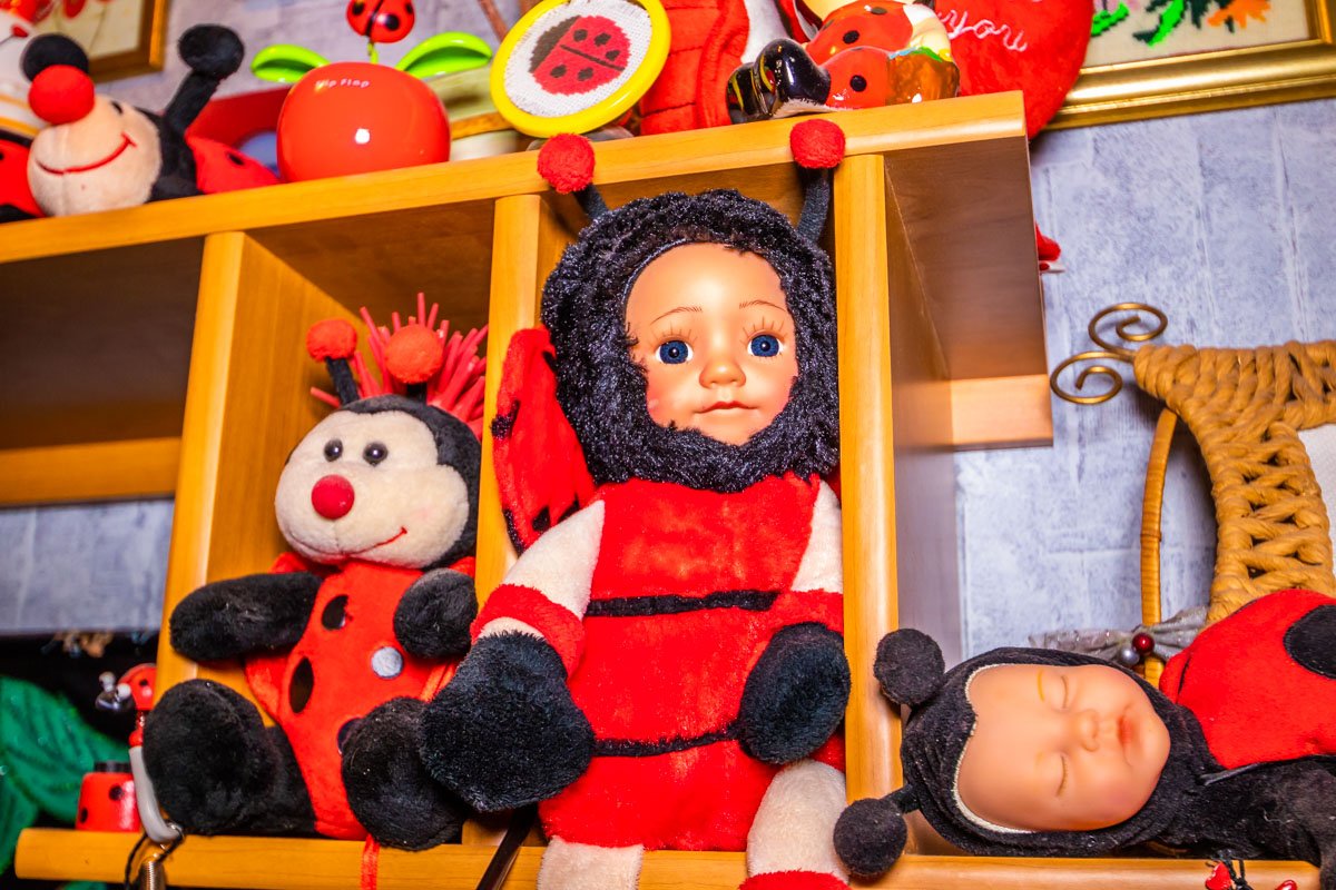 Надежда собирает коллекцию уже 10 лет Надежда собирает коллекцию уже 10 лет