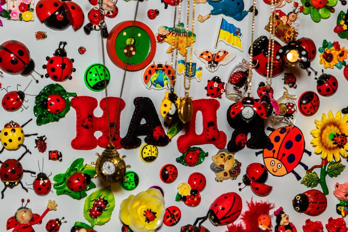 Коллекция насчитывает 11 680 предметов Коллекция насчитывает 11 680 предметов