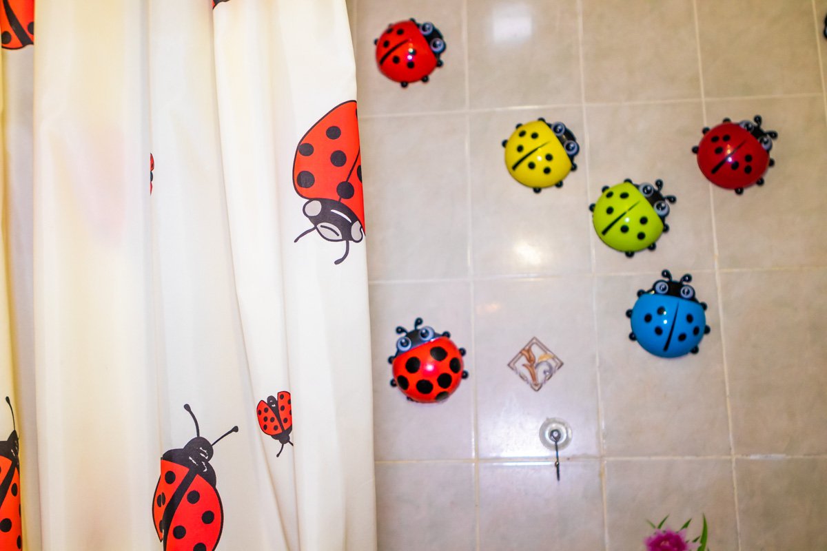 Божьи коровки "живут" даже в ванной Божьи коровки "живут" даже в ванной