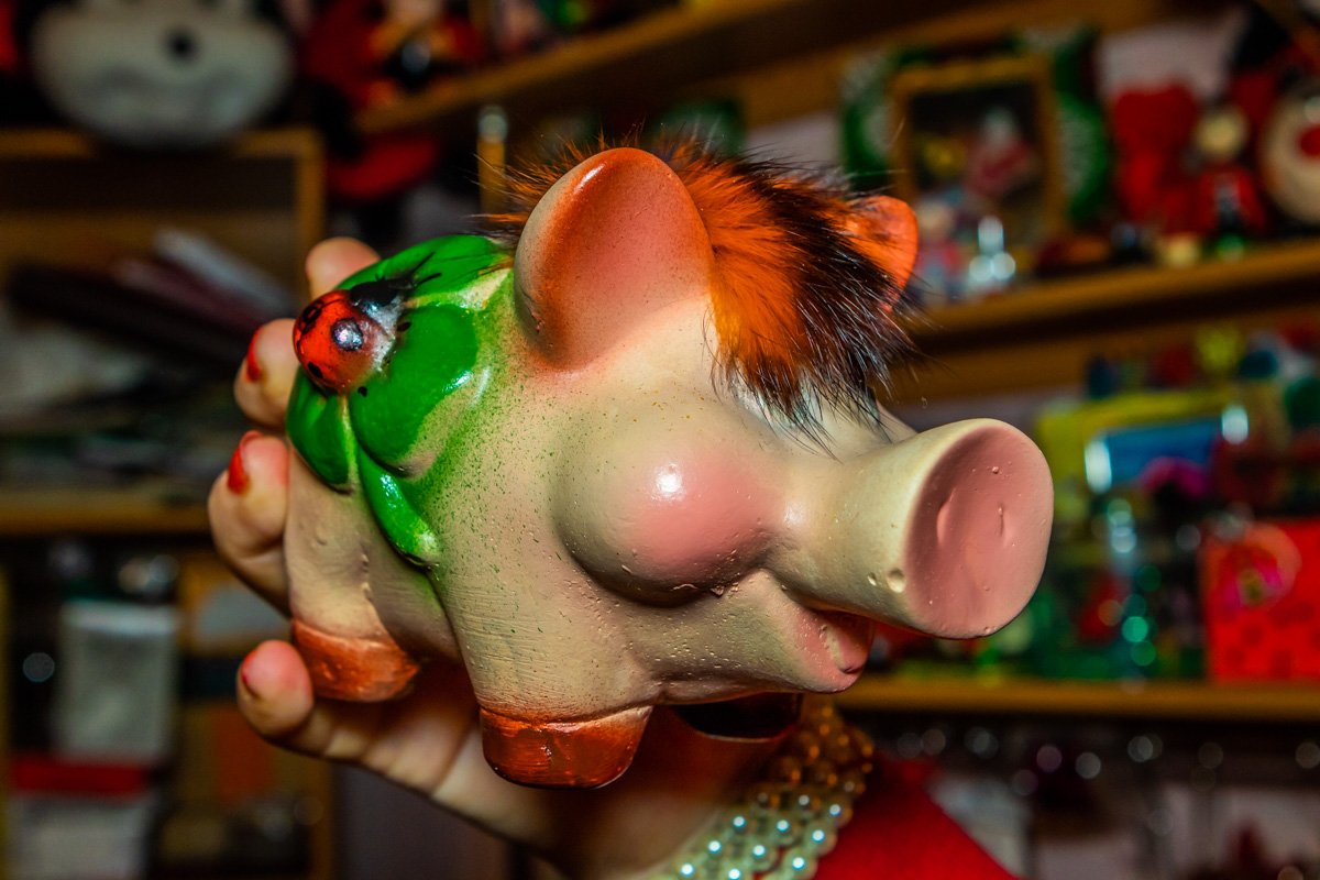 Символ 2019 года также стал частью коллекции Символ 2019 года также стал частью коллекции