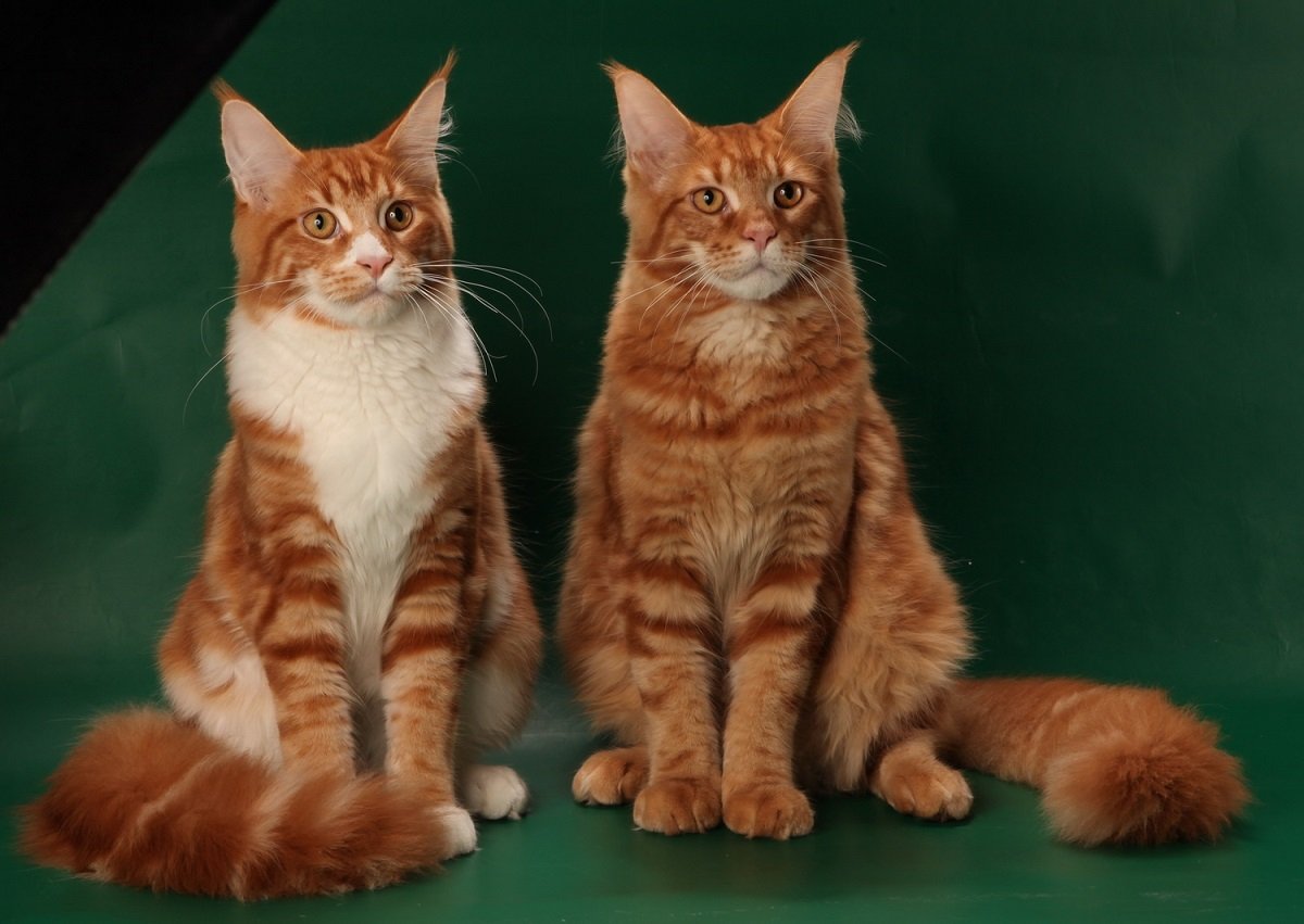 ТОП мероприятий, куда стоит пойти на выходных в Днепре 2