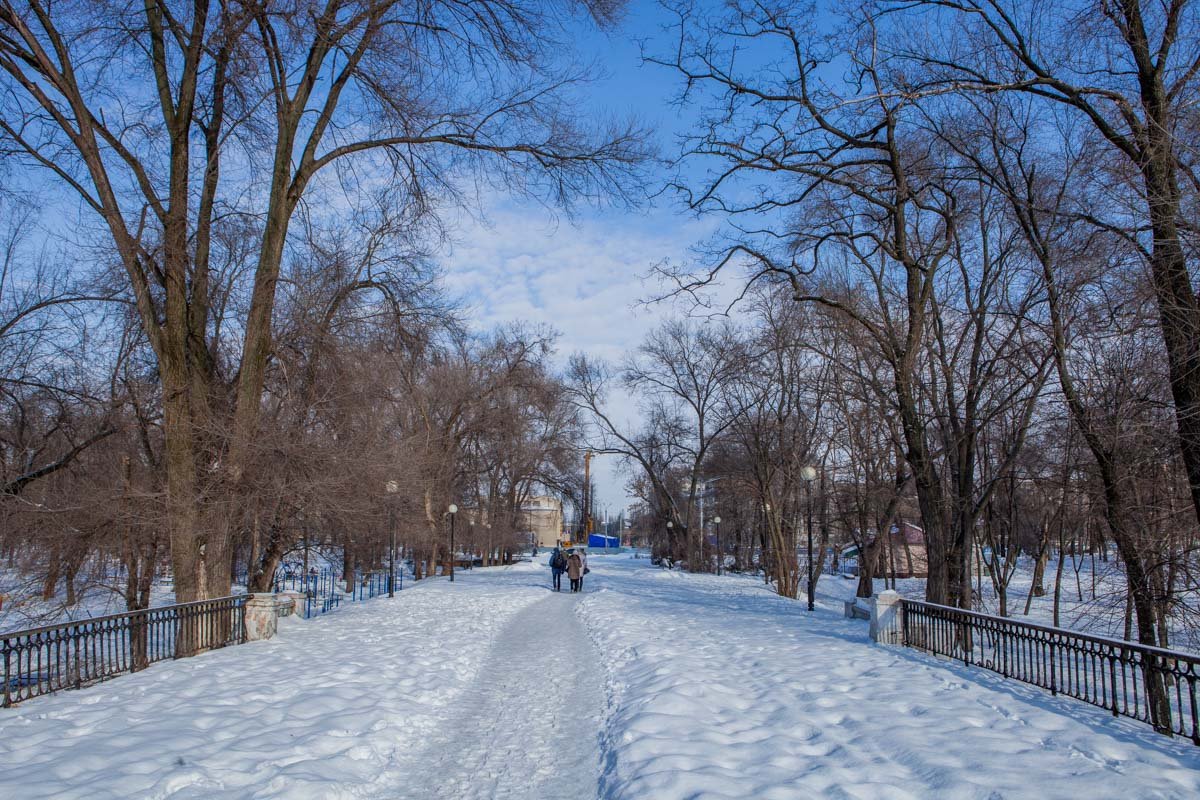 Улица проходит через парк