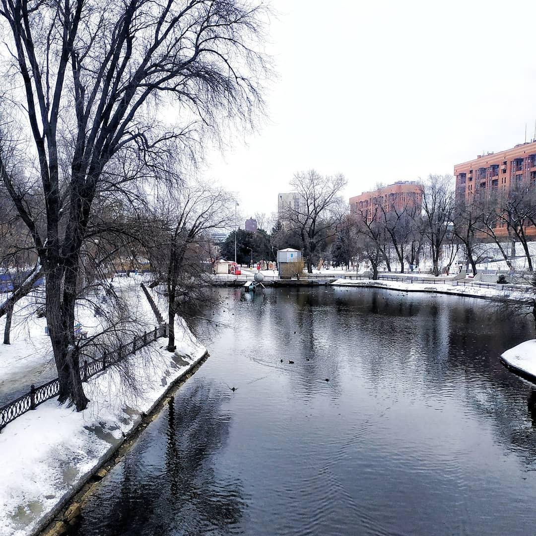 Уточки мерзнут. Фото: photochkaa Уточки мерзнут. Фото: photochkaa