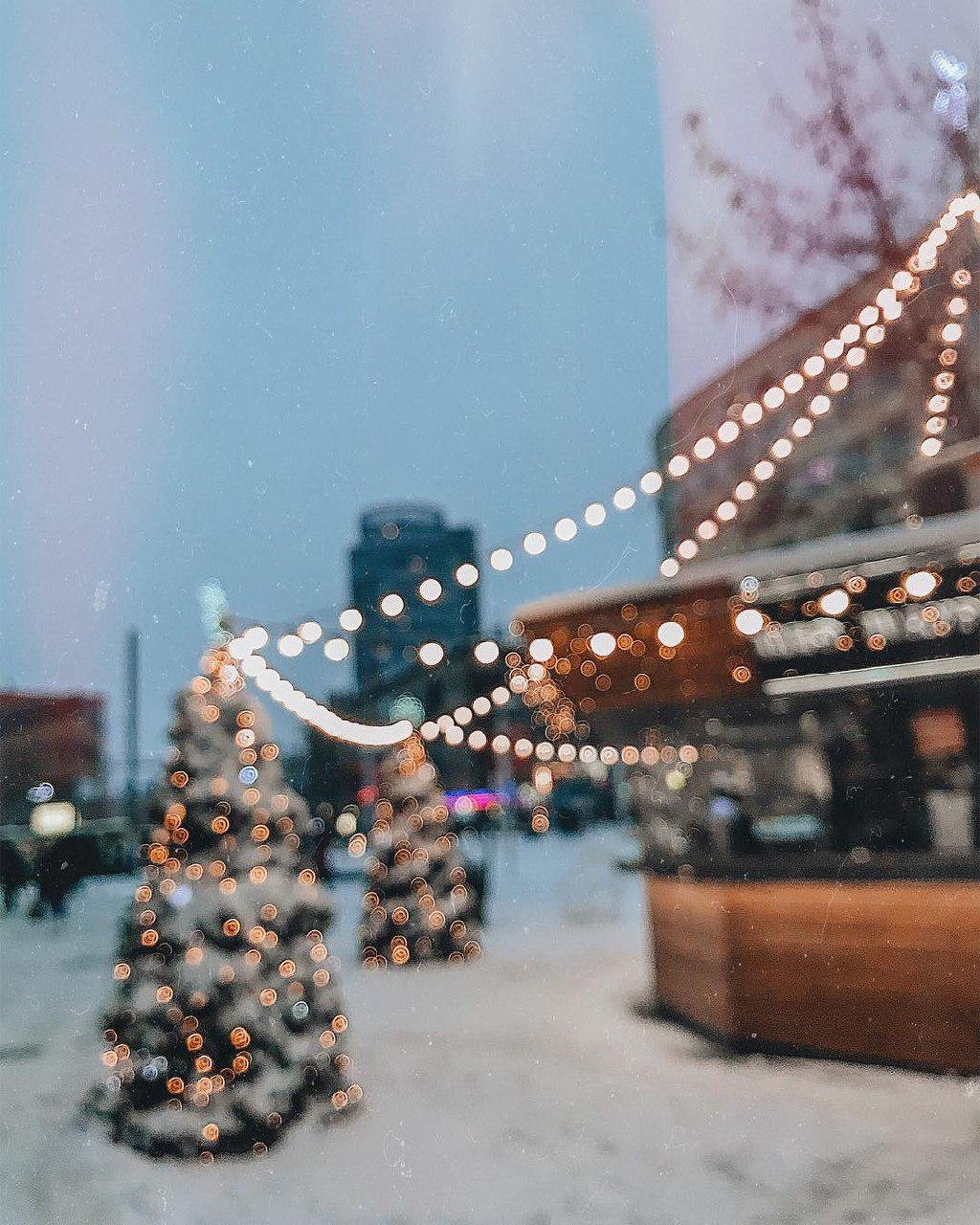 Елочка, хватит гореть. Фото: g.kate_ Елочка, хватит гореть. Фото: g.kate_