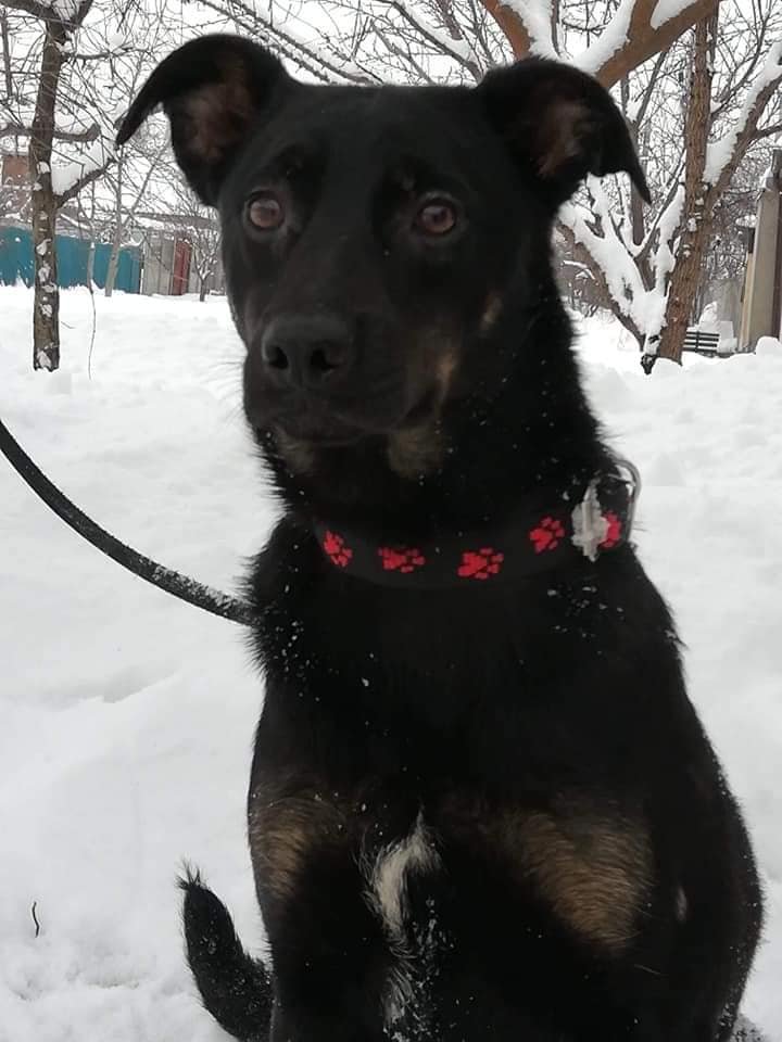 Крошка Рона Крошка Рона