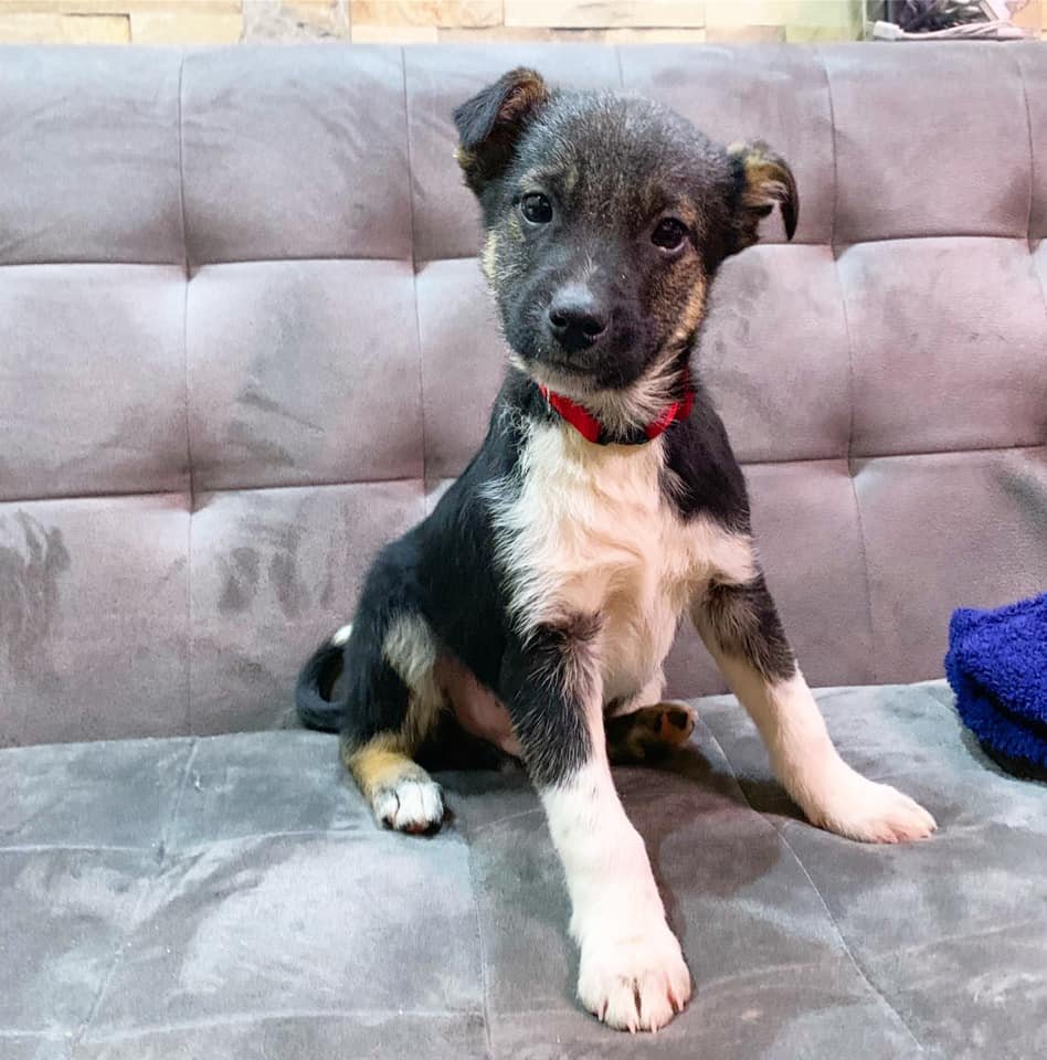 Маленький Чудик Маленький Чудик