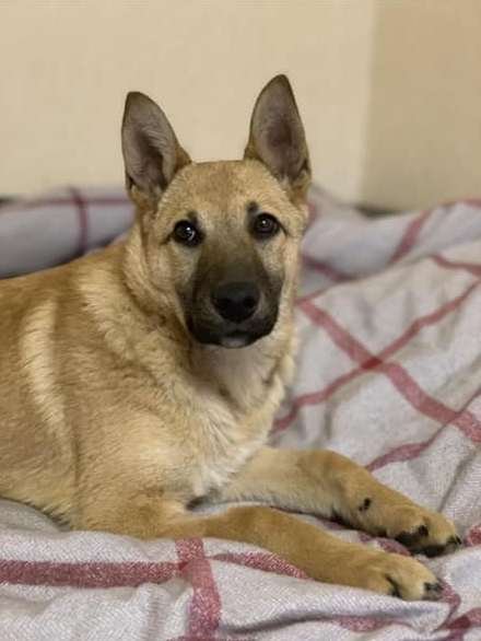 Гордая Анна Гордая Анна