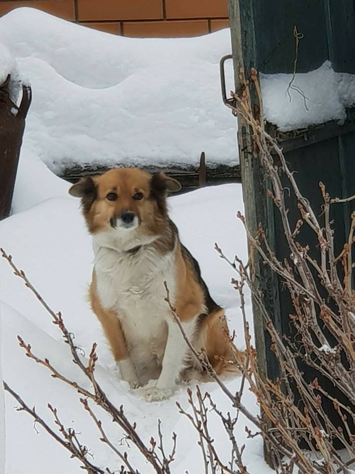 Ласковая Рича Ласковая Рича