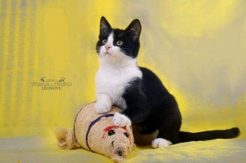 Забери меня домой Забери меня домой