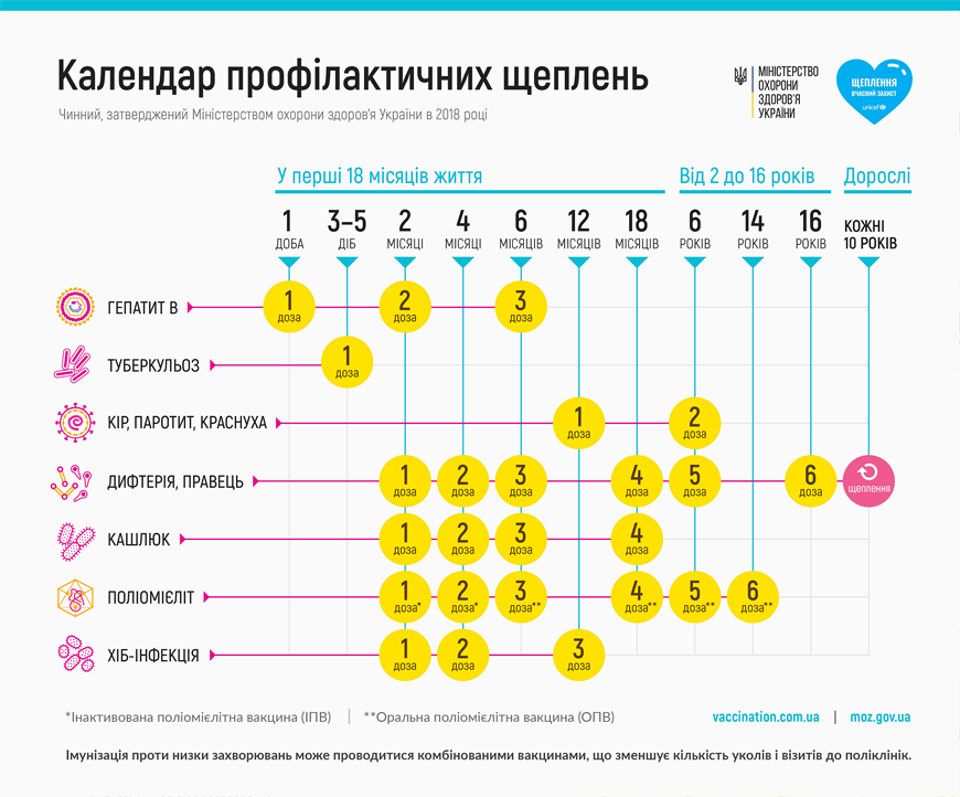 Календарь прививок Календарь прививок