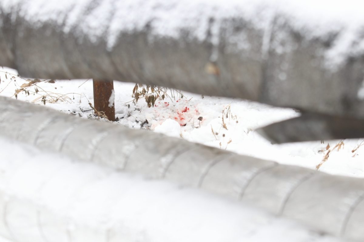 В деталях случившегося разберутся правоохранители