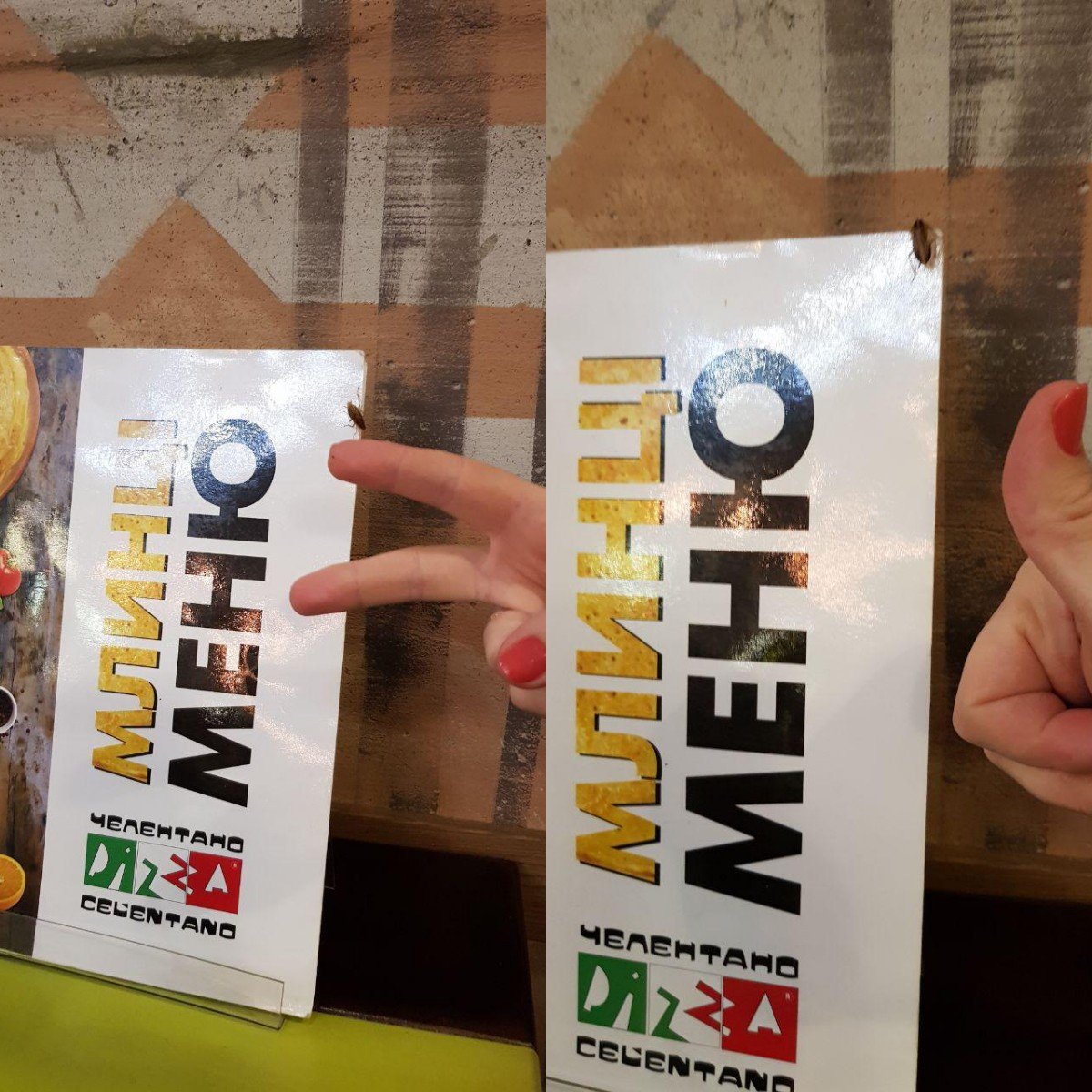 Другой со стены залез на меню Другой со стены залез на меню