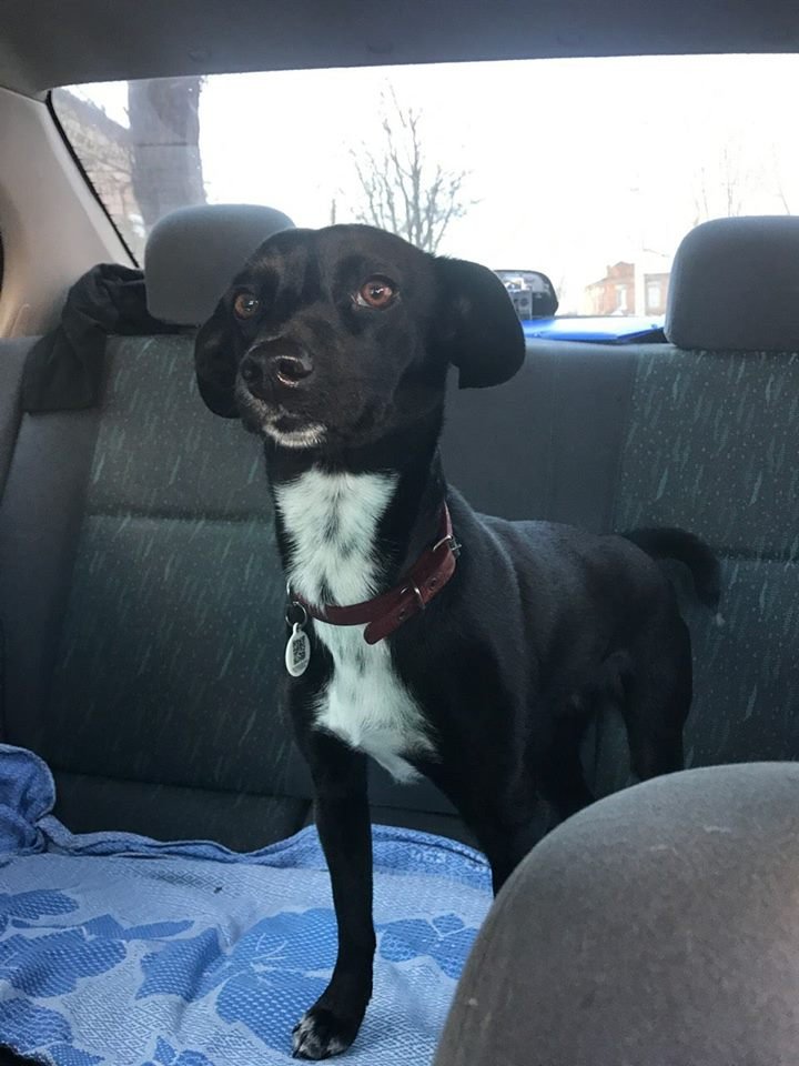 Малышка потерялась