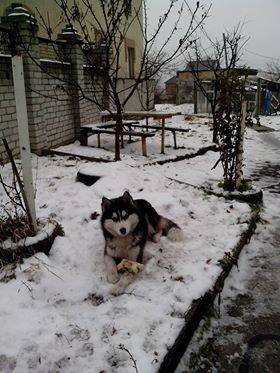 Малыш хочет домой