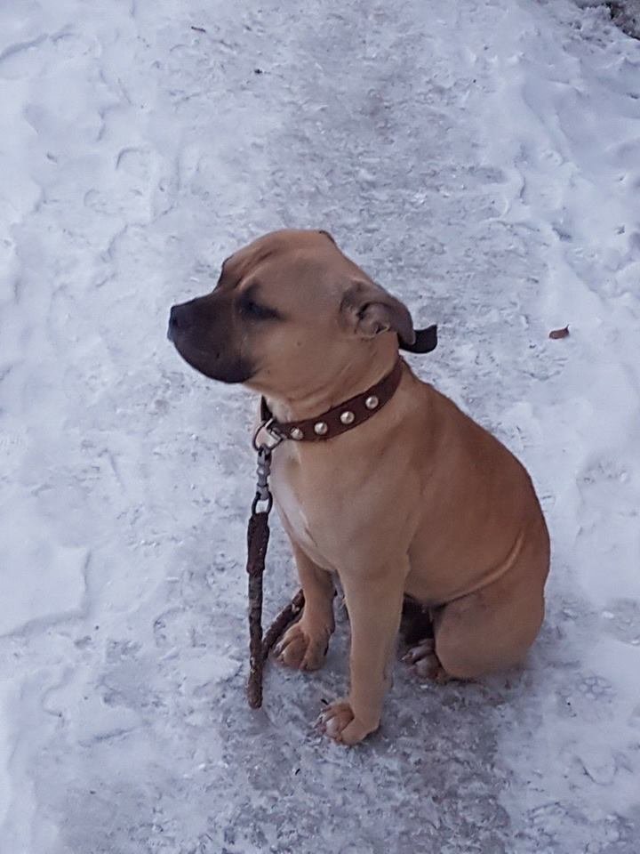 Я потерялся