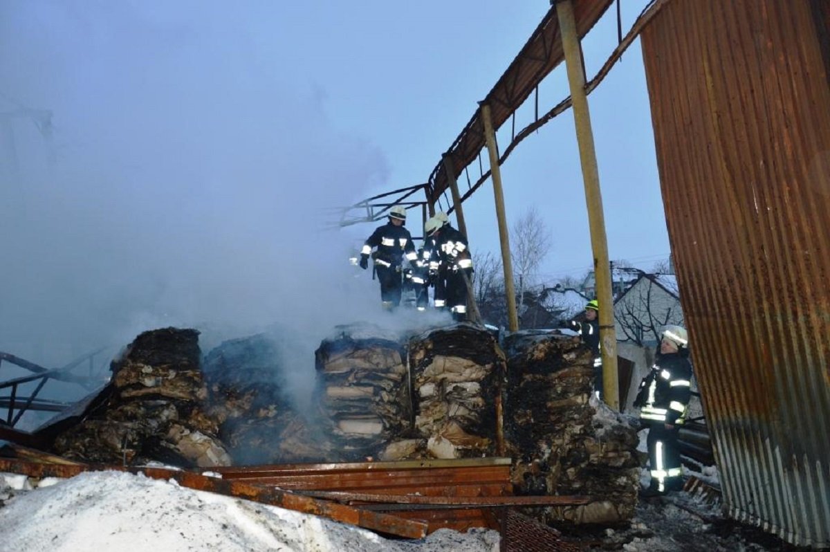 В результате происшествия никто не пострадал В результате происшествия никто не пострадал