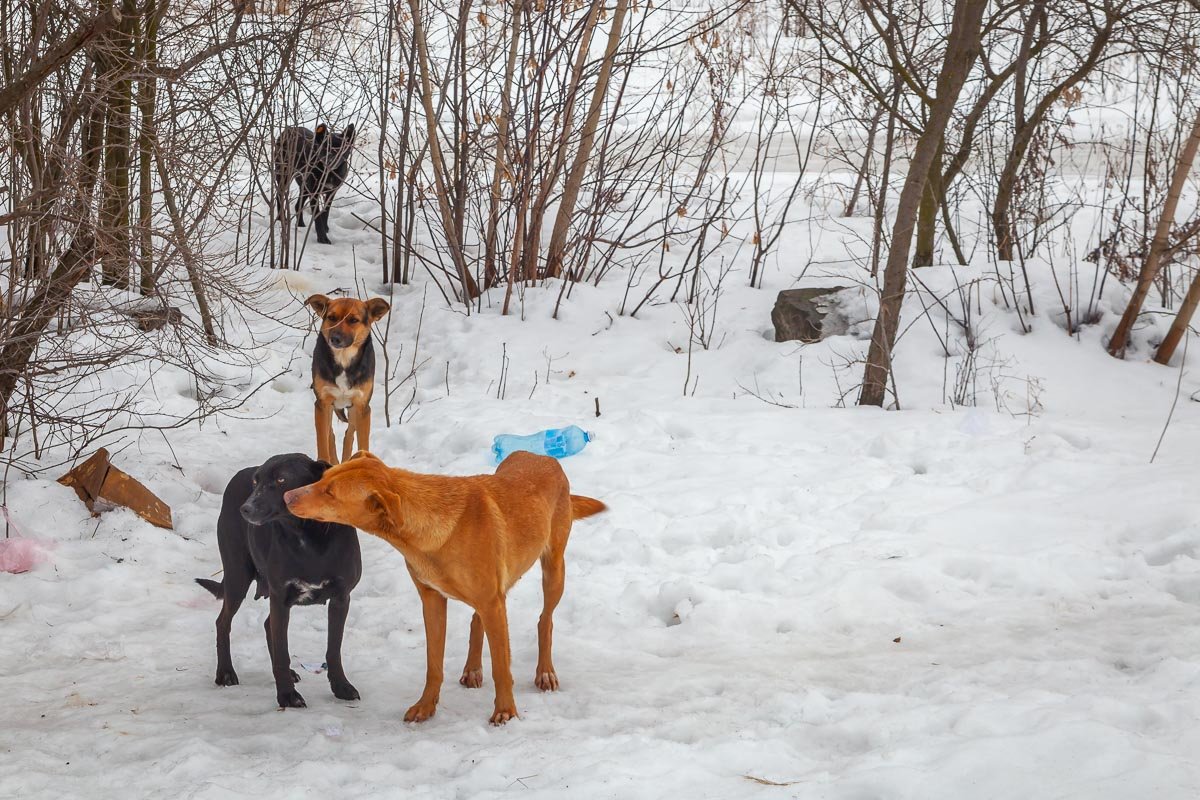 Любовь Любовь