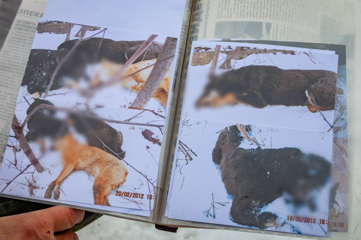 Собирают материалы по убийствам Собирают материалы по убийствам