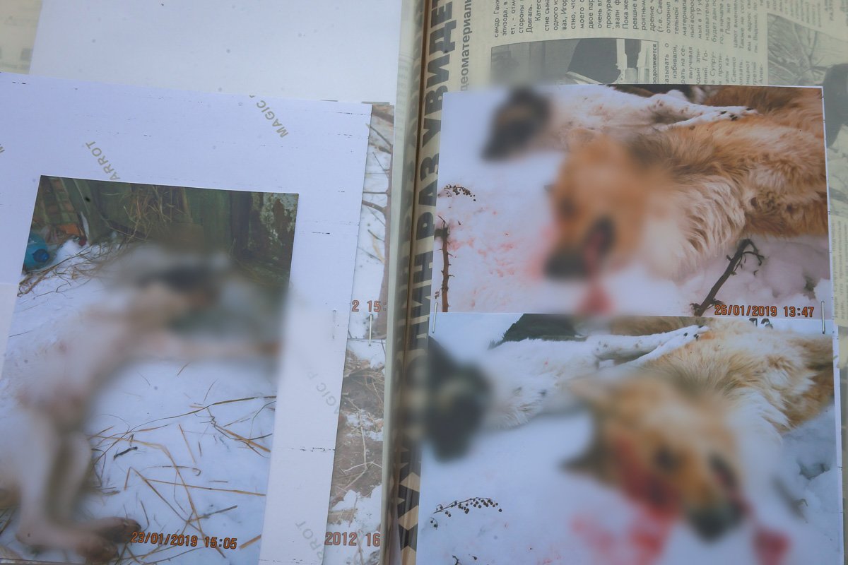 Их много Их много