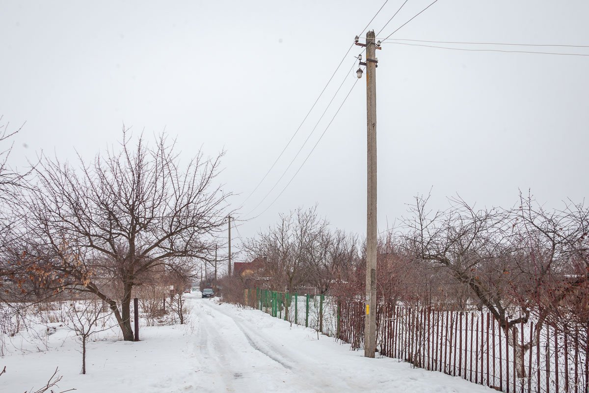 Собаки живут на этой улице Собаки живут на этой улице