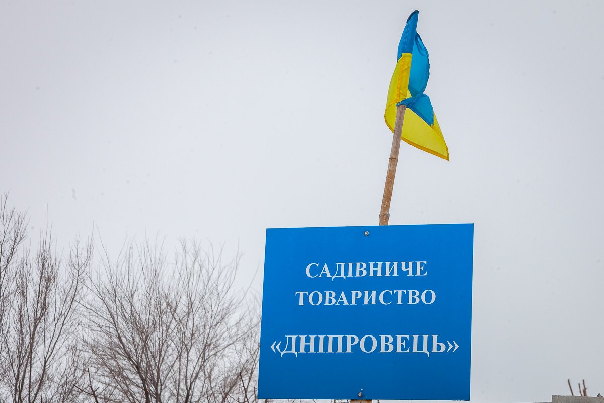 В садовом товариществе убивают собак В садовом товариществе убивают собак