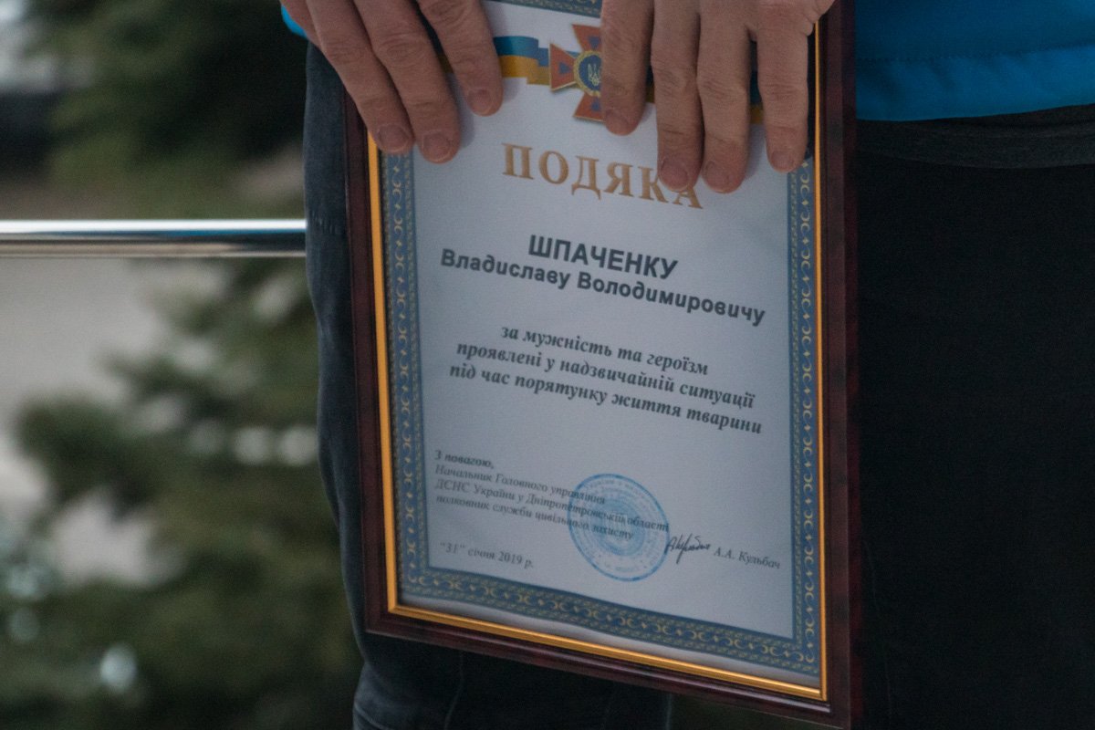 По словам спасателей, поступок Владислава спас собаке жизнь По словам спасателей, поступок Владислава спас собаке жизнь