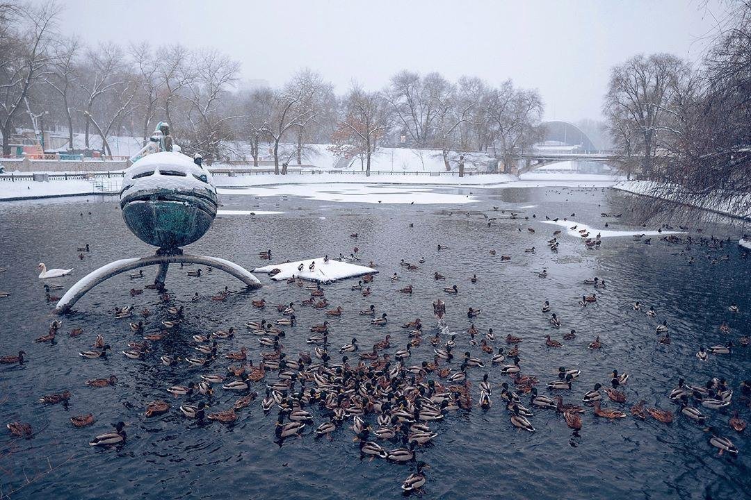 Скоро весна. Фото: peskovskiy_ Скоро весна. Фото: peskovskiy_