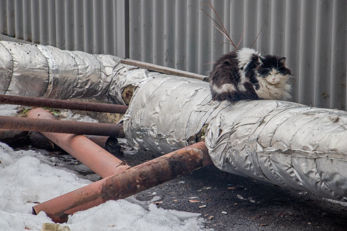 Всегда мечтал туда залезть...