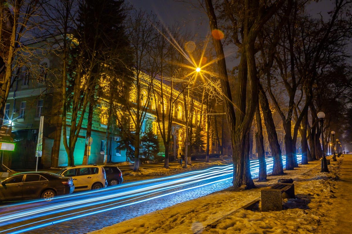 В Днепр прибежал Sonic