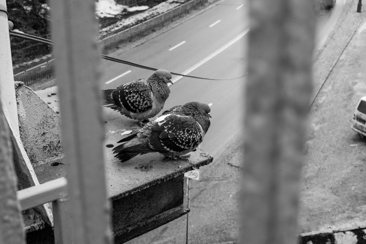 Будьте рядом