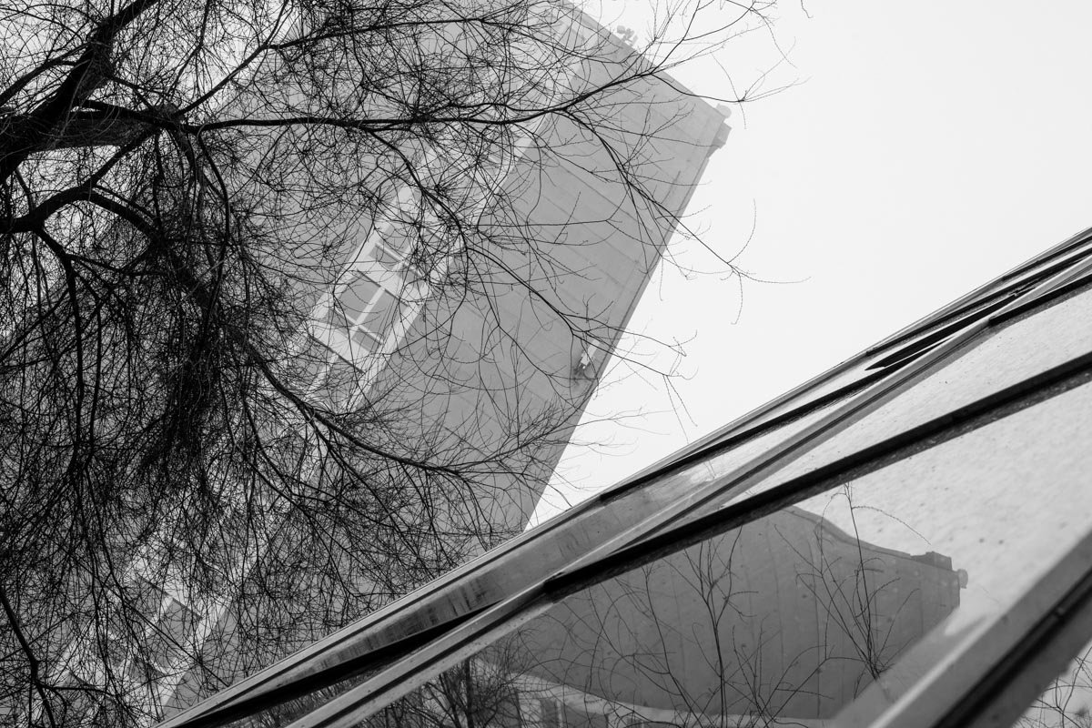 Я смотрю в отражение витрин: молодость горящих глаз среди понурых спин